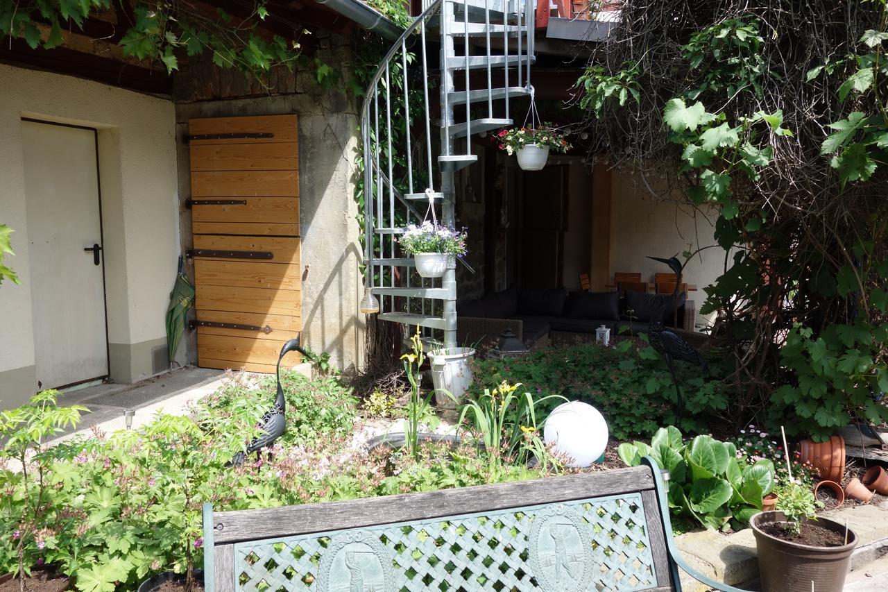 מלון Geldersheim Zehnthof מראה חיצוני תמונה